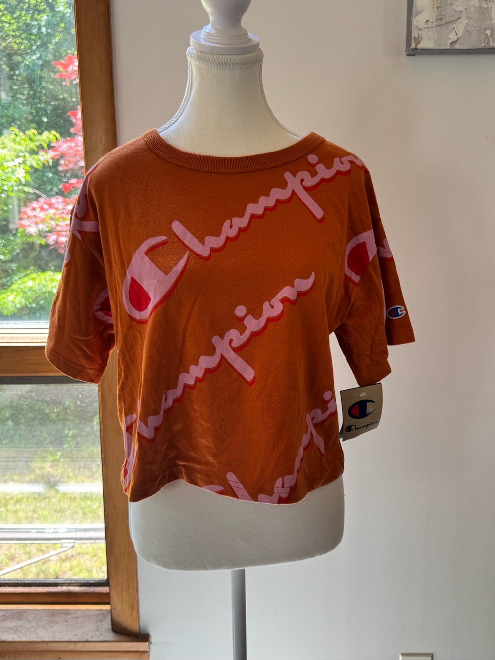 Champion Heritage Jersey Crop T-Shirt